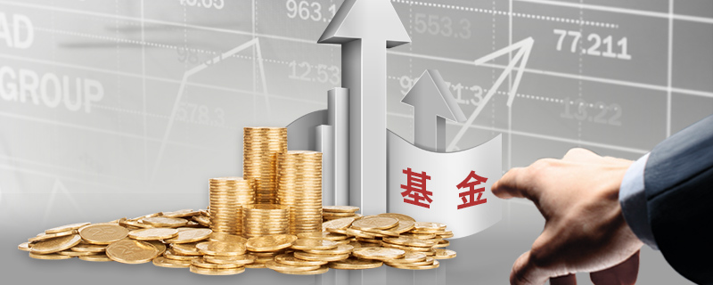 能源股在低迷中反弹：华尔街的坚韧选择